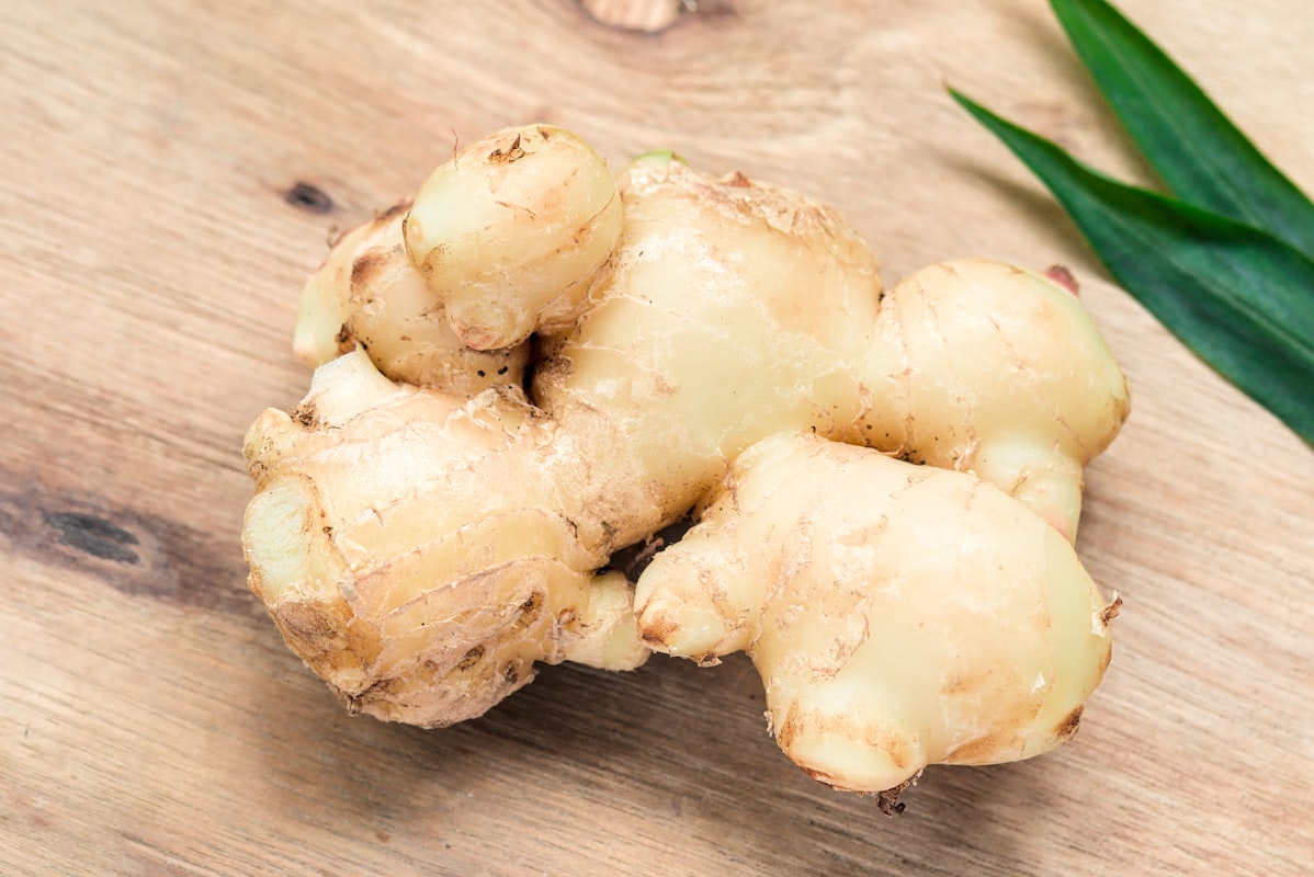 Plantas medicinales para la digestión
